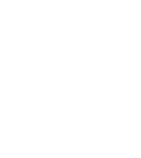 STU25